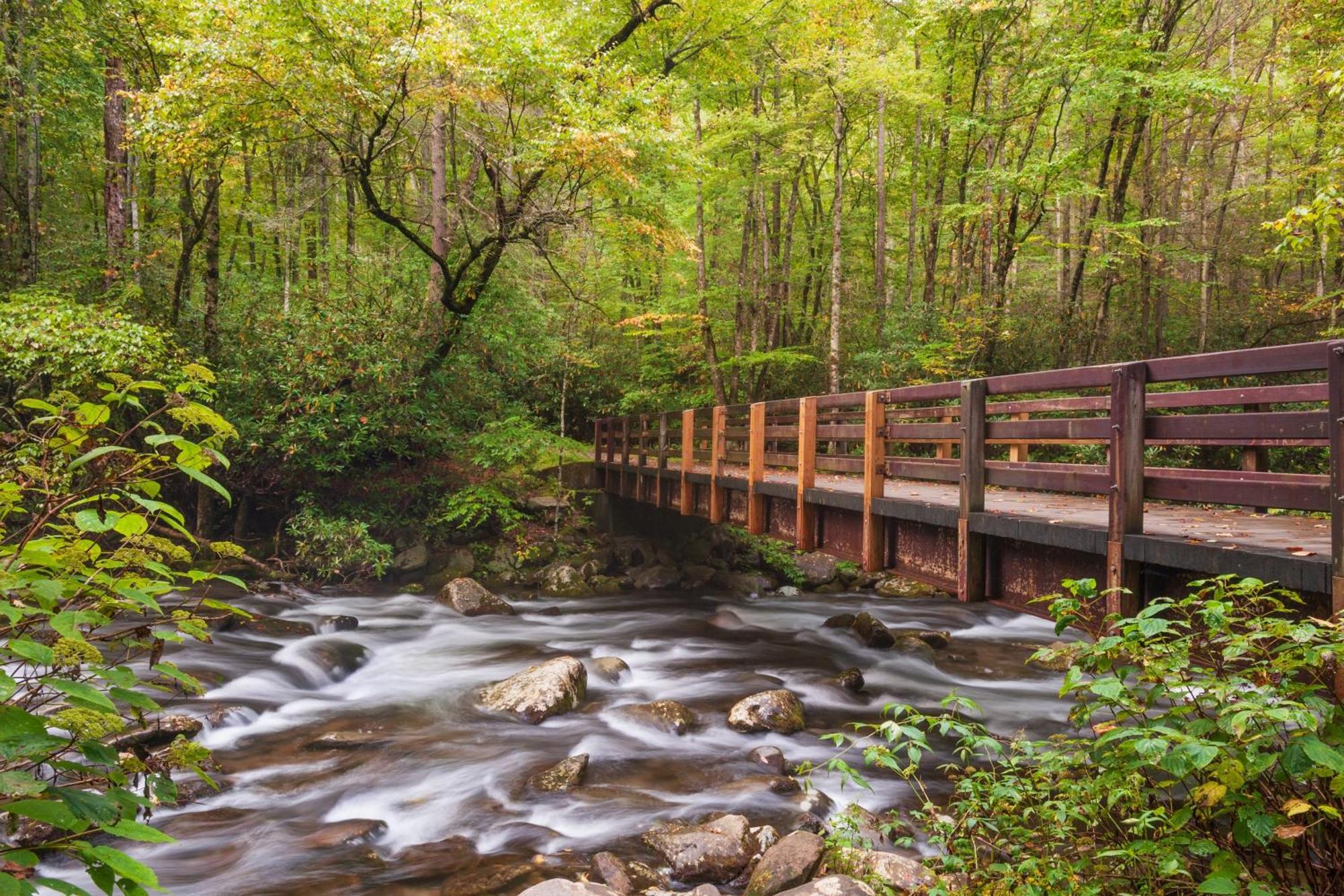 Serenity Heights, Amazing Views, Hot Tub Pool Access, 1089 Free Tickets Each Paid Day, Dollywood Gatlinburg Extérieur photo